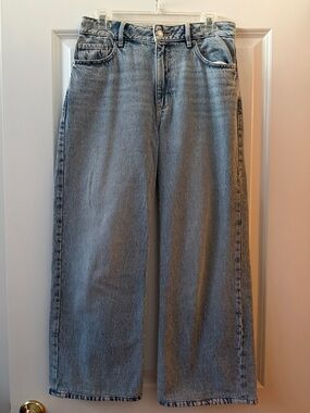 Dynamite Light Blue Wide Leg Jeans